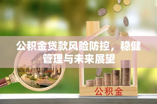 建邺公积金贷款风险防控，稳健管理与未来展望