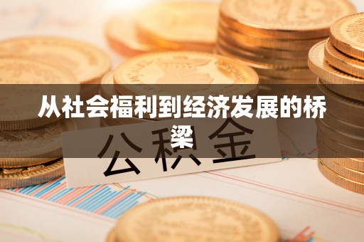 建邺从社会福利到经济发展的桥梁
