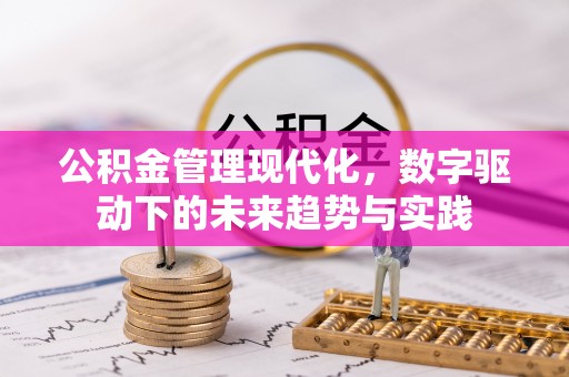 建邺公积金管理现代化，数字驱动下的未来趋势与实践