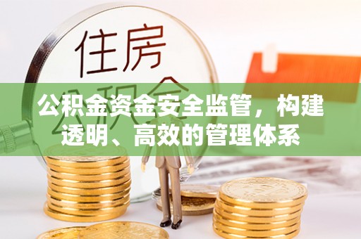 建邺公积金资金安全监管，构建透明、高效的管理体系
