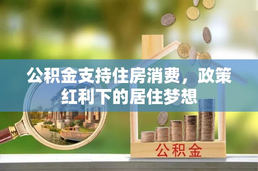 建邺公积金支持住房消费，政策红利下的居住梦想